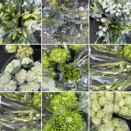 Assorted bouquets of white and green flowers wrapped in plastic.