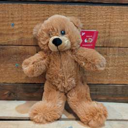 Mr. T Bear 8"Brown Teddybear with Embroidery Eyes