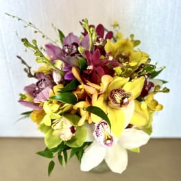 TROPICAL ORCHID BOUQUET