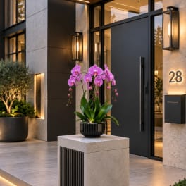 Potted pink orchid arrangement on a pedestal outside a modern entrance