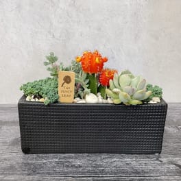 Succulent arrangement in a black rectangular planter with bright orange cactus blooms