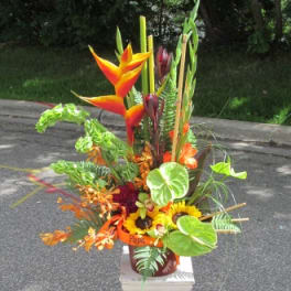 Tropical flower arrangement with orange heliconia and sunflowers in a vase
