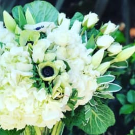 White floral bouquet with pale green accents and dark-centered blooms