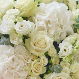 White roses and lisianthus arranged in a dense bouquet