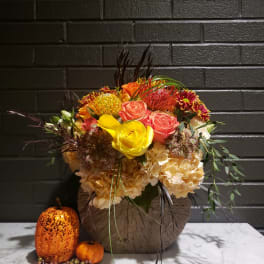 Fall inspiration