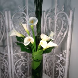White calla lilies in a tall glass vase with green stems