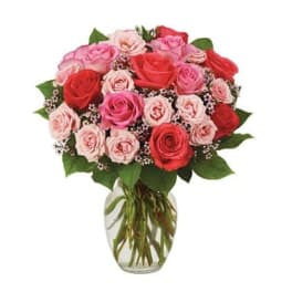 Bouquet of pink and red roses in a clear glass vase