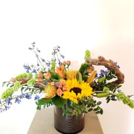 Organic spring