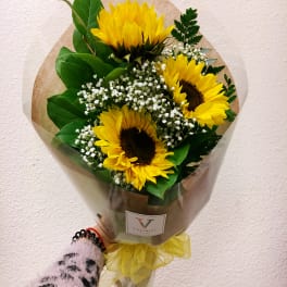 Handheld bouquet of yellow sunflowers and white filler flowers wrapped in paper and clear cellophane.