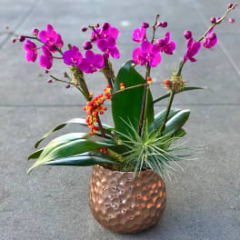 Pink orchid stems in a hammered copper vase with air plants