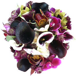 Bouquet of dark calla lilies and purple orchids