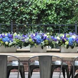 Three low floral centerpieces in white containers on a wooden table