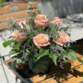 Summer Shimmers