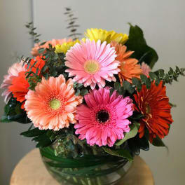 Bouquet of colorful gerbera daisies in a glass vase