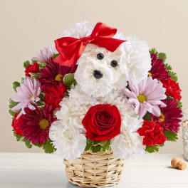 Flower arrangement shaped like a white dog with a red bow in a basket