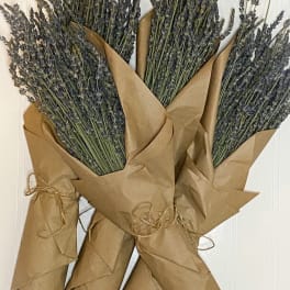 Three wrapped lavender bundles tied with twine
