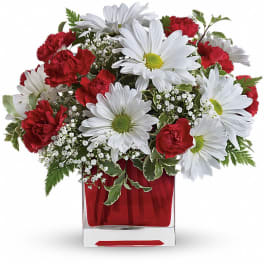 Red carnations and white daisies in a red glass vase