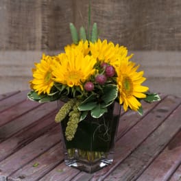 Yellow sunflowers arranged in a square glass vase