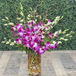 Pink and white orchids arranged in a tall glass vase