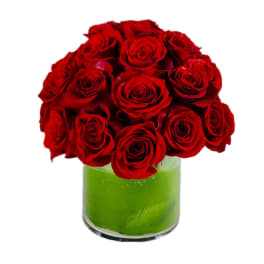 Red roses arranged in a clear glass vase with green filler