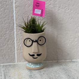 Fred the Desk Plant