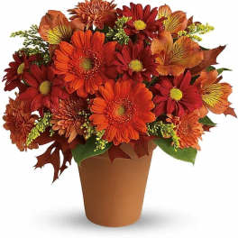 Orange and red daisy bouquet in a brown pot