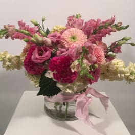 Fifty Shades of Pink