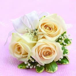 Three cream roses with white ribbon and small filler flowers