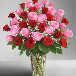 Bouquet of red and pink roses in a clear glass vase