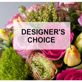 Designer's Choice
