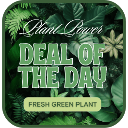 Green plant-themed sale graphic with large text and leafy background