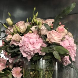 Pink Hydrangea and More