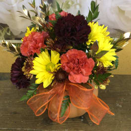 Pumpkins (Designer Choice)