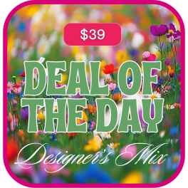 Deal of the Day