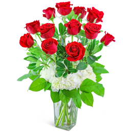 Red roses arranged in a clear glass vase with white hydrangeas