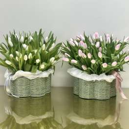 Two tulip arrangements in woven baskets, one white and one pink