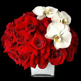 Red roses with white orchids in a clear square vase