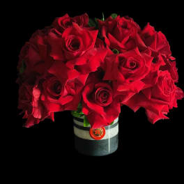Bouquet of red roses in a striped vase