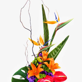 Tropical flower arrangement with orange birds of paradise and red anthuriums in a vase