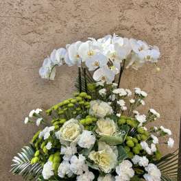 White orchids and mixed white-green flowers in a white basket