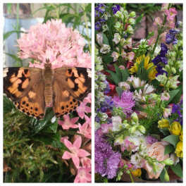 Butterfly on pink flowers beside a mixed bouquet of colorful blooms