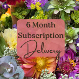 Colorful mixed flowers with a "6 Month Subscription Delivery" sign
