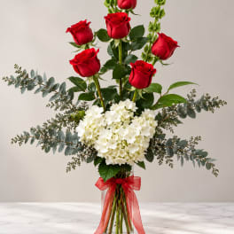 Red roses and white hydrangeas in a clear glass vase with a red ribbon