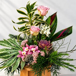 Tropical floral arrangement with pink roses, orchids, and succulents in a wooden container