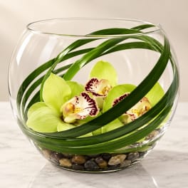 Green orchids arranged in a clear glass bowl with decorative stones