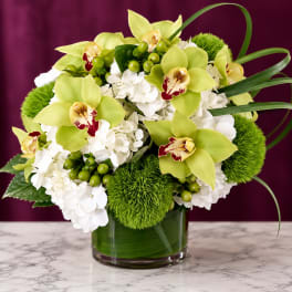 Green orchids and white hydrangeas in a glass vase with green accents