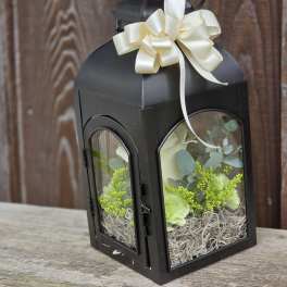 Black lantern with cream ribbon and pale flowers inside