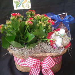 Potted flowering succulent basket with a bird plaque and gift items