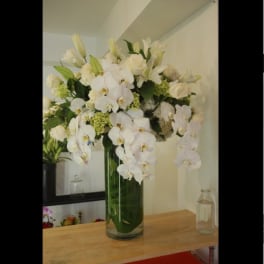 White orchid and lily arrangement in a tall glass vase
