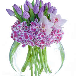 Purple tulips and pink orchids in a clear glass vase